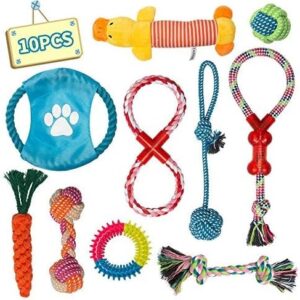 Labeol Dog Toys Puppy Toys from 8 Weeks Puppy Chew Toys Natural Cotton Interactive 10Pcs Dog Rope Toys Indestructible Tough Puppy Chew Toys for Small Puppy Strong Dogs