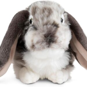 Living Nature Grey Dutch Lop Eared Rabbit Stuffed Animal Plush Toy | Fluffy Soft Toy Gift for Kids | Boys and Girls Doll | Naturli Eco-Friendly | 26 cm