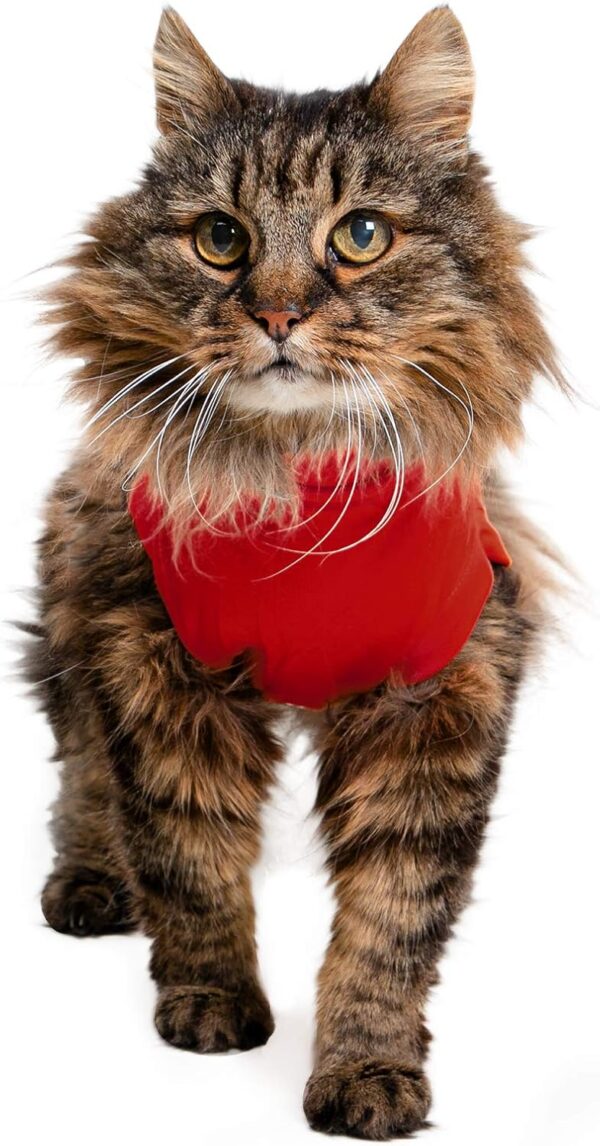 MPS Medical Pet Shirt Cat, Surgery Recovery Suit, Red, XX-Small