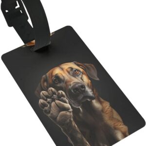 Mqgmz Dog Animal Pet Paw Print Suitcase Tag Luggage Tags Labels,Instrument Leather Bag Case Tags Travel Accessories