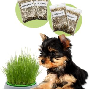 R&R SHOP - Double Seeds Dog Grass Kit - Germinating Pot, 2 types of Dog Grass, Stimulant and Digestive, 4 Sachets of Seeds and Substrate, Suitable for all Dogs