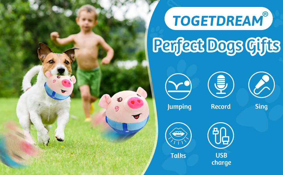 Electronic Talking Moving Dog Toy