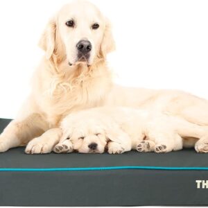 The Dog’s Bed Orthopaedic Headrest Dog Bed XL Grey with Blue Trim 117x71x10cm, Waterproof Memory Foam Dog Bed