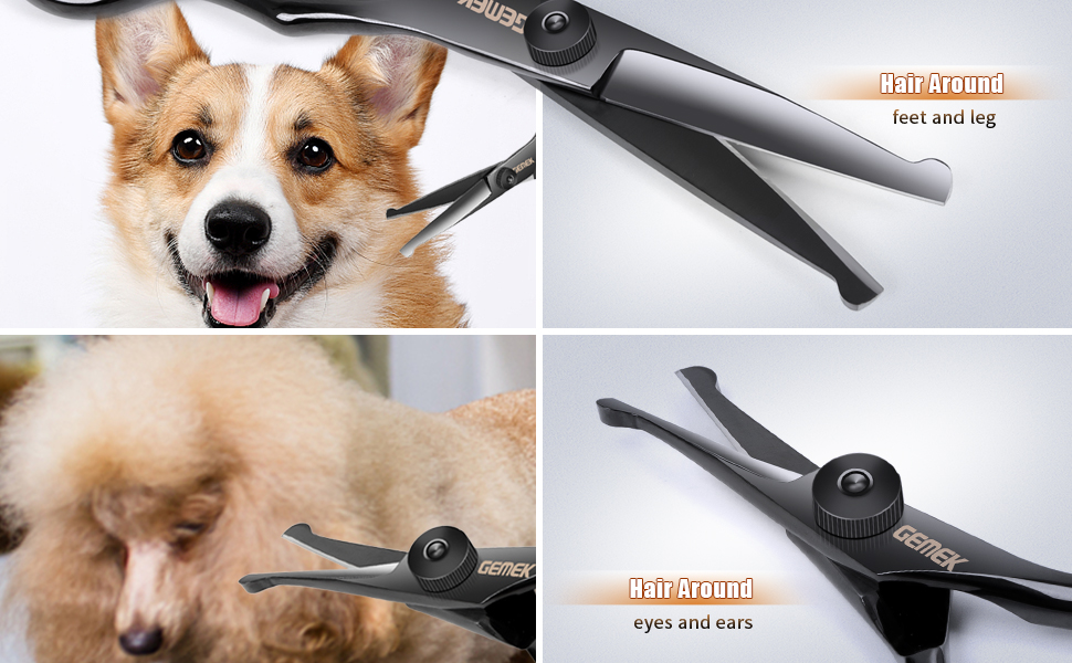 dog scissors for grooming face and paws -q19