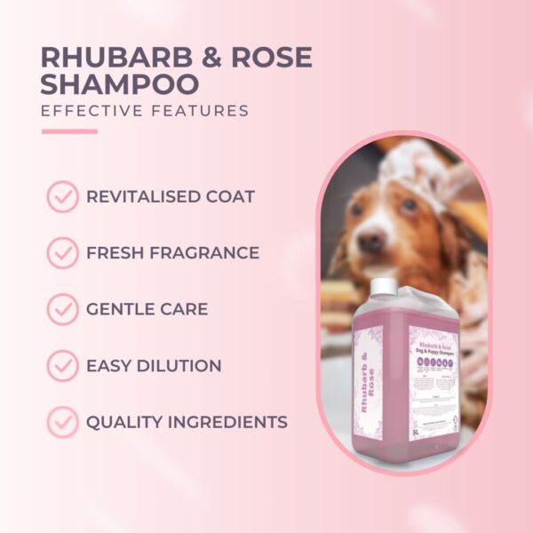 Peanut & Pickle | Rhubarb & Rose - Dog & Puppy Shampoo: Luxurious Summery Cleanse (5L) - Image 3