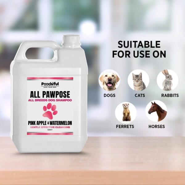 Poochiful All Pawpose Dog & Puppy Shampoo - 5 Litres. Suitable for All Breeds & Coat Types from 8 Weeks Old, Mild and Gentle, pH Balanced, with Added Conditioner, Pink Apple & Watermelon Scent. - Image 2