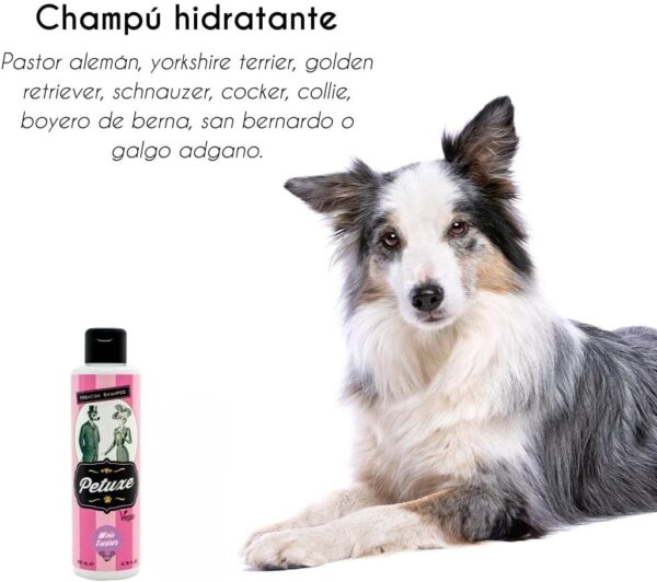 Petuxe Shampoo Dogs and Pets Vegan. Cleansing, moisturizing and vitalizing power: Long and Straight Hair - 5000 Millimeter - Image 6