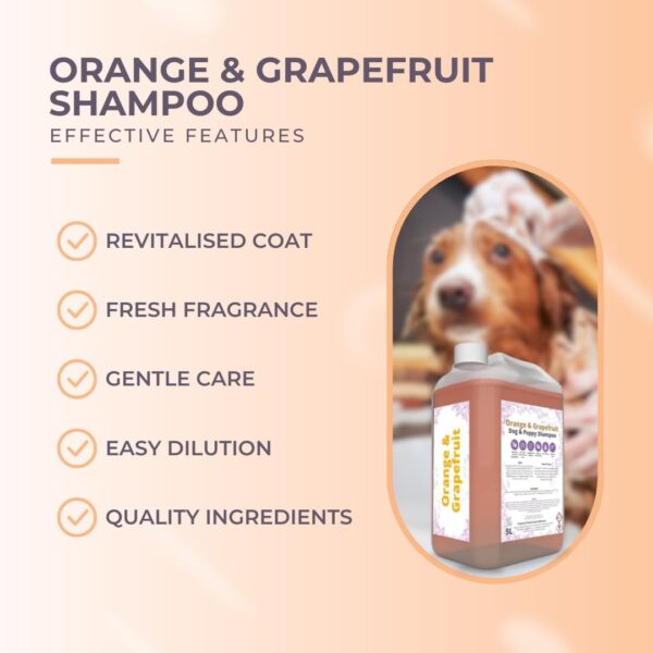 Peanut & Pickle - Orange & Grapefruit Dog & Puppy Shampoo - Cleansing for All Breeds - Gentle Care & Fresh Fragrance – 5L - Image 3