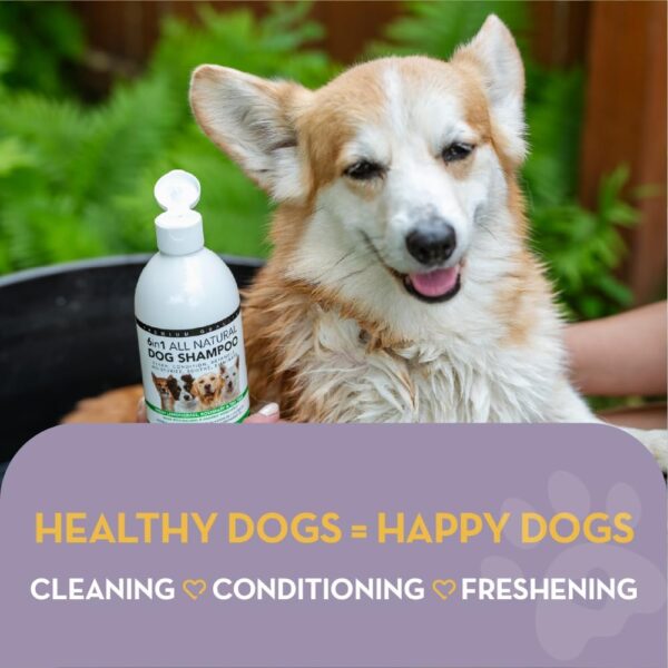 The Healthy Dog Co - 6-in-1 All-Natural Dog Shampoo and Conditioner - Dog Shampoo - Dog Shampoo for Smelly Dogs - Deshedding Shampoo for Dogs - Gentle Oatmeal Dog Shampoo and Puppy Shampoo - 500ml - Image 3