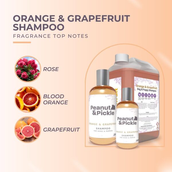 Peanut & Pickle - Orange & Grapefruit Dog & Puppy Shampoo - Cleansing for All Breeds - Gentle Care & Fresh Fragrance – 5L - Image 5