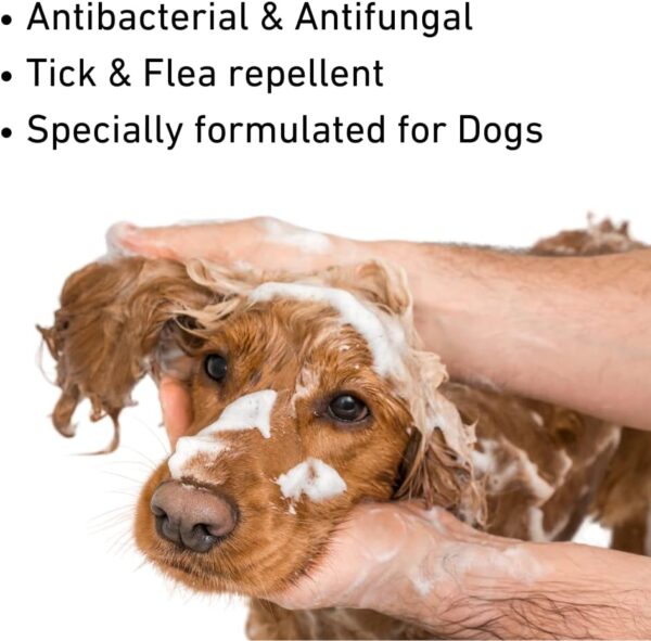 Nature's Greatest Secret Antibacterial Colloidal Silver Petcare Dog Shampoo - Now With Tick & Flea Repellent 250ml - Image 4