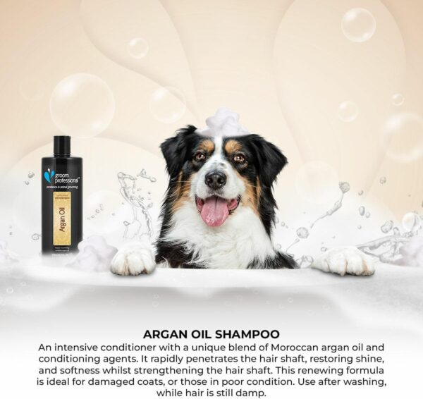 GROOM PROFESSIONAL Argan Oil Dog Shampoo - Revitalising Shampoo for Dogs - Dog Shampoo for Damaged Coats - Dog Shampoo for Dry Itchy Skin - Perfect for Dry & Damaged Coats, 1 Litre - Image 2