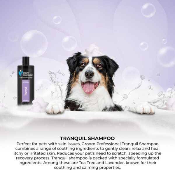 GROOM PROFESSIONAL Tranquil Dog Shampoo - Soothing Dog Shampoo for Sensitive Skin - Soothes and Heals Itchy Skin - Relieves Skin Irritations - Perfect for Pets with Skin Issues, 450ml - Image 4