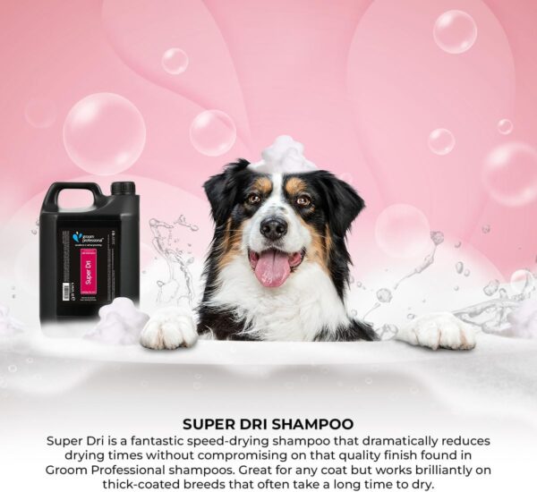 GROOM PROFESSIONAL Super Dri Dog Shampoo - Deep Cleansing Dog Shampoo for Smelly Dogs - Dramatically Cuts Drying Times During Grooming - Great for Thick-Coated Breeds - Citrus Scent, 4 Litre - Image 4