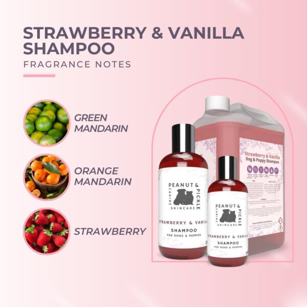 Peanut & Pickle | Strawberry & Vanilla - Dog Puppy Shampoo - Enhanced Conditioning with Neem Leaf & Fennel Seeds, Ideal for Cockapoos & Cavapoos (5L) - Image 3