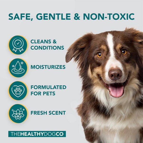 The Healthy Dog Co - 500ml Dog Shampoo - Targets Fleas, Ticks, and Lice, Deep Cleansing Shampoo for Dogs and Cats - Gentle and Sensitive Flea Shampoo for Dogs, Cat, Puppies and Kittens - Cat Shampoo - Image 2