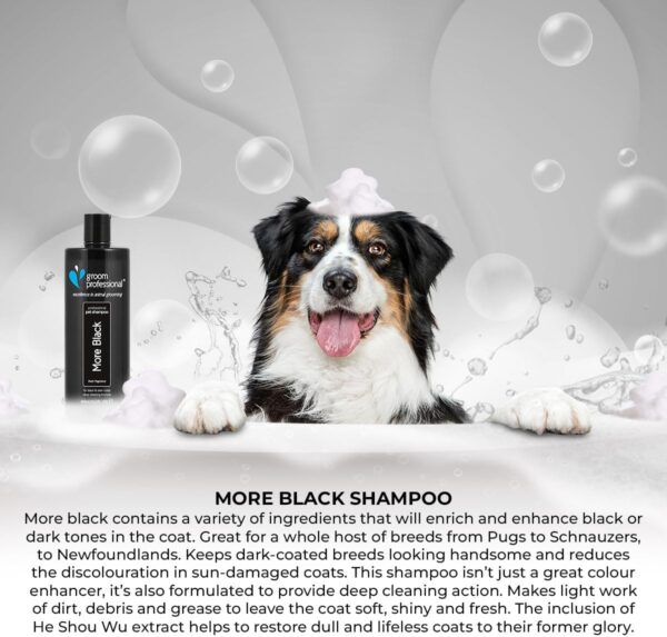 GROOM PROFESSIONAL More Black Dog Shampoo - Colour Enhancing Shampoo for Dogs - Perfect for Black or Dark-Coated Breeds - Deep Cleansing Formula for Smelly Dogs - Fresh Fragrance, 450ml - Image 4