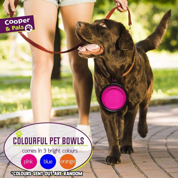 Cooper & Pals 3Pcs Collapsible Dog Bowl Portable Silicone Dog Water Bowl Pet Food Feeding Space Save Travel Bowl with Carabiner Carry Hook Small 350ml (12fl oz) (3pcs x Three colours (1 per colour)) - Image 4