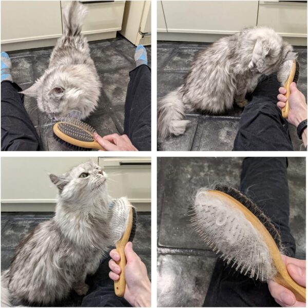 Dog Brush Grooming,Dog Brushes Double Sided Pin and Bristle Soft Cat Puppy Pet Hair Brush for Short and Long Haired - Image 2