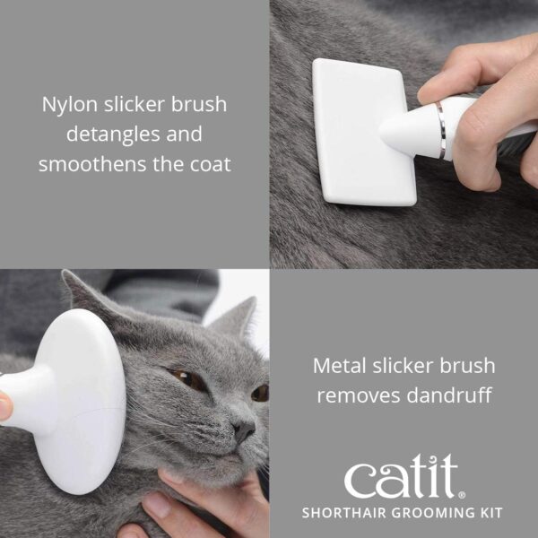 Catit Grooming Kit for Shorthaired Cats. Canister includes 5 Tools; Rubber Palm Brush, Nylon Slicker Brush, Metal Slicker Brush, Fine Comb and Curved Nail Clippers, White, Black, Grey - Image 6