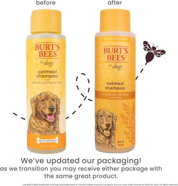 Burt's Bees for Pets Oatmeal Dog Shampoo - With Colloidal Oat Flour & Honey - Moisturizing & Nourishing, Cruelty Free, Formulated without Sulfates and Parabens, Made in USA, 16 Oz - Image 4