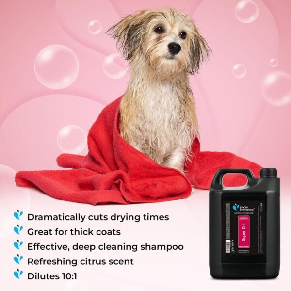 GROOM PROFESSIONAL Super Dri Dog Shampoo - Deep Cleansing Dog Shampoo for Smelly Dogs - Dramatically Cuts Drying Times During Grooming - Great for Thick-Coated Breeds - Citrus Scent, 4 Litre - Image 3