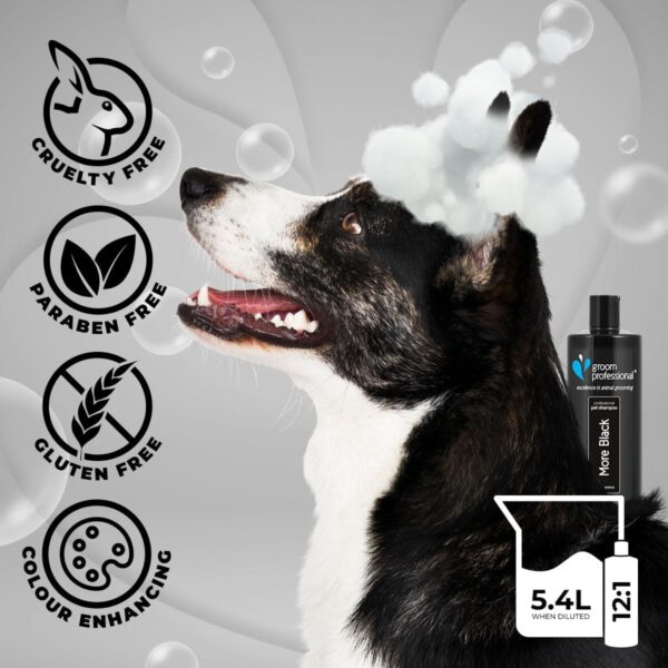 GROOM PROFESSIONAL More Black Dog Shampoo - Colour Enhancing Shampoo for Dogs - Perfect for Black or Dark-Coated Breeds - Deep Cleansing Formula for Smelly Dogs - Fresh Fragrance, 450ml - Image 2