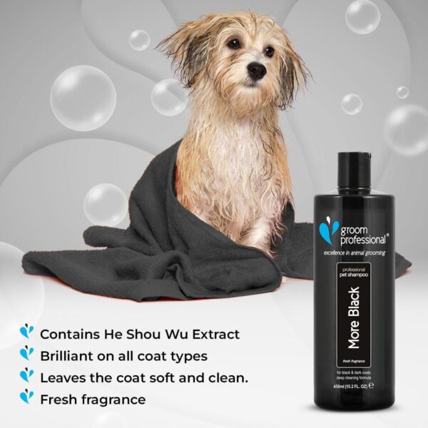 GROOM PROFESSIONAL More Black Dog Shampoo - Colour Enhancing Shampoo for Dogs - Perfect for Black or Dark-Coated Breeds - Deep Cleansing Formula for Smelly Dogs - Fresh Fragrance, 450ml - Image 3