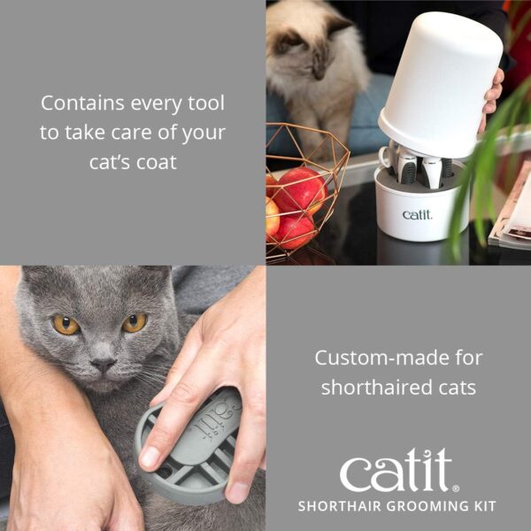 Catit Grooming Kit for Shorthaired Cats. Canister includes 5 Tools; Rubber Palm Brush, Nylon Slicker Brush, Metal Slicker Brush, Fine Comb and Curved Nail Clippers, White, Black, Grey - Image 4