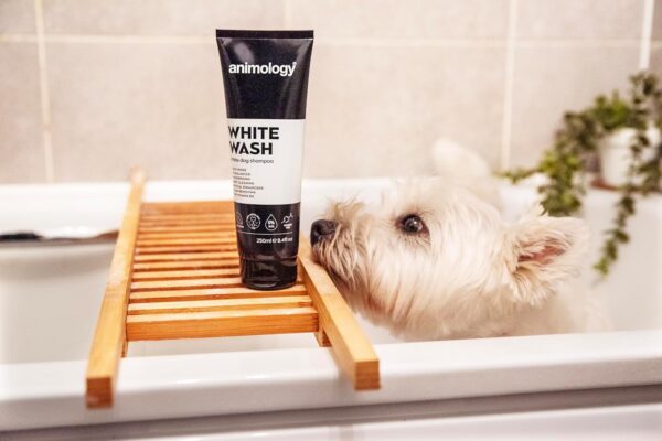 Animology White Wash White Dog Shampoo, 250ml - Image 6