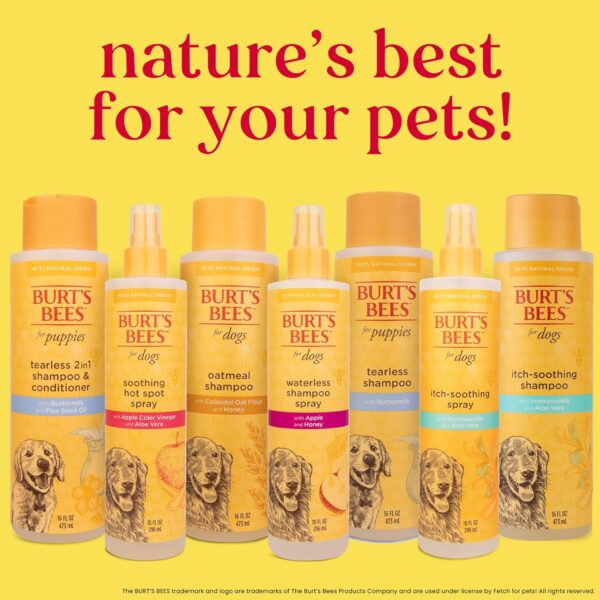 Burt's Bees for Pets Oatmeal Dog Shampoo - With Colloidal Oat Flour & Honey - Moisturizing & Nourishing, Cruelty Free, Formulated without Sulfates and Parabens, Made in USA, 16 Oz - Image 7