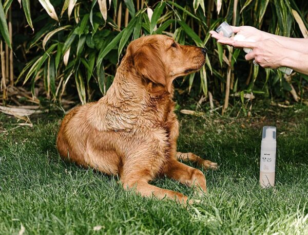 Vet Approved Dry Shampoo for Pets | Natural Ingredients | Deodorising, Soothing & Revitalising | No Rinsing Required | Coconut & Oat - Image 3