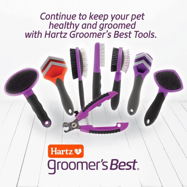 HARTZ, Groomer's Best Small Slicker Brush for Cats and Small Dogs, Black/Violet, 1 Count - Image 8