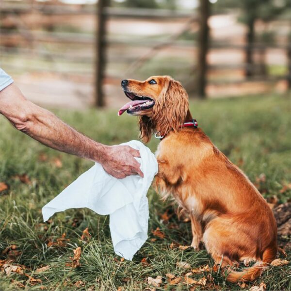 DotDotPet Biodegradable Dog Towels 20 x Eco Friendly Dog Drying Towel - Absorbent Quick Drying Award Winning Dog Towels - Dog Walking and Travel Essential - Single Use 100% Natural Pet Towels - Image 5