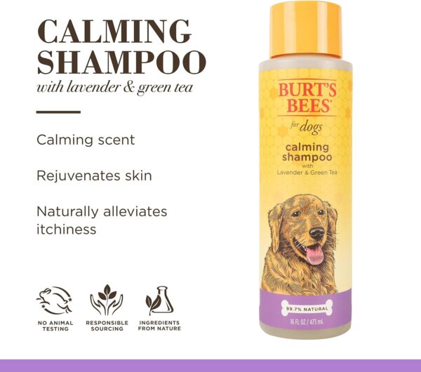 Burt's Bees for Pets Natural Calming Lavender Dog Shampoo with Green Tea, Anti-Itch and Allergy Relief, Includes Oatmeal for Soothing Comfort - Sulfate, Paraben Free, pH Balanced, 16 oz - Made in USA - Image 4