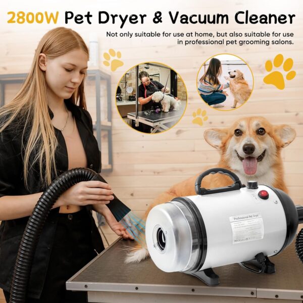 AHWOiHS Dog Hair Dryer Blaster 2800W Dog Blower Pet Grooming Hair Dryer 2 in 1 Pet Hair Vacuum and Dryer Dog Vacuum Cleaner Dog Grooming Kit with 4 Different Nozzles for Dogs Cats(White - Image 7