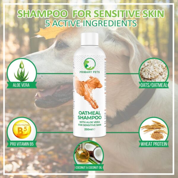 Oatmeal Dog Shampoo, Dog Shampoo Sensitive Skin. Natural Dog Shampoo, Containing Aloe Vera & Provitamin B5 ideal, Dog Shampoo for Itchy Skin, Puppy, Dog Shampoo - Image 3