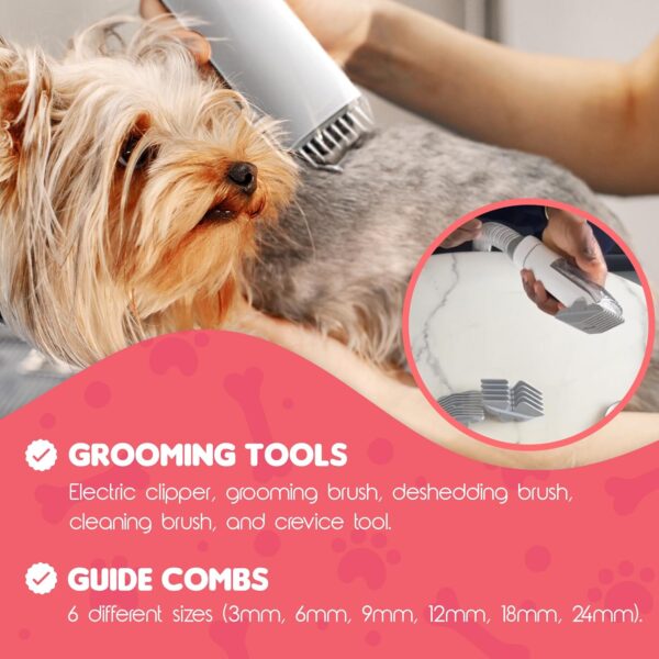 4BS Dog Grooming Vacuum, Dog Hair Vacuum, 12000Pa Strong Pet Grooming Vacuum for Dogs, Cats 2L Large Capacity Dog Cat Clippers for Shedding Grooming Hair, Quiet, 5 Pet Grooming Tools, 4bs - Image 3