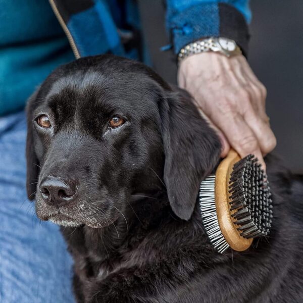 Dog Brush Grooming,Dog Brushes Double Sided Pin and Bristle Soft Cat Puppy Pet Hair Brush for Short and Long Haired - Image 8