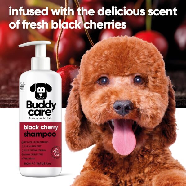 Black Cherry Dog Shampoo by Buddycare | Deep Cleansing Shampoo for Dogs | Black Cherry Scented | With Aloe Vera and Pro Vitamin B5 (500ml) - Image 3