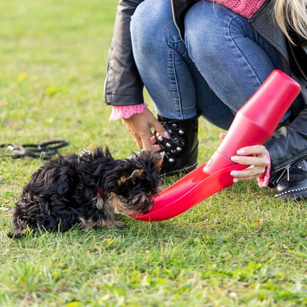 Kaitoma - Large Folding Dog Water Bottle, 750ml Stainless Steel, Leak Proof Portable Puppy/Pet/Dog Water Dispenser, Dog Drinking bowl for Travel, Walking, Outdoors, Dog Travel Bottle (Plum Red) - Image 7