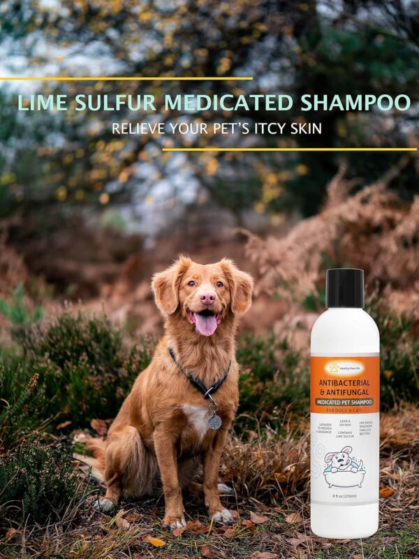 Healthy Paw Life Lime Sulfur Pet Shampoo - Pet Care and Veterinary Solution for Itchy and Dry Skin - Safe for Dog, Cat, Puppy, Kitten, Horse - Image 4