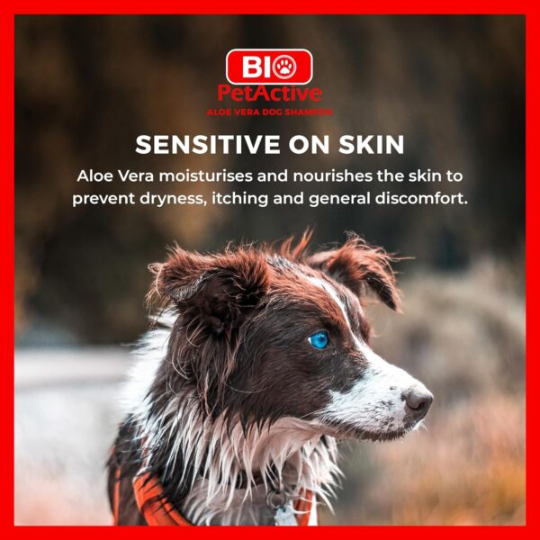 Bio PetActive Aloe Vera Dog Shampoo (400ml) ❘ Sensitive Dog Shampoo with Aloe Vera, Cleansing & Moisturising Dog Wash, Long Lasting Floral Scent to Prevent Smelly Dogs, Grooming Products for Dog - Image 5