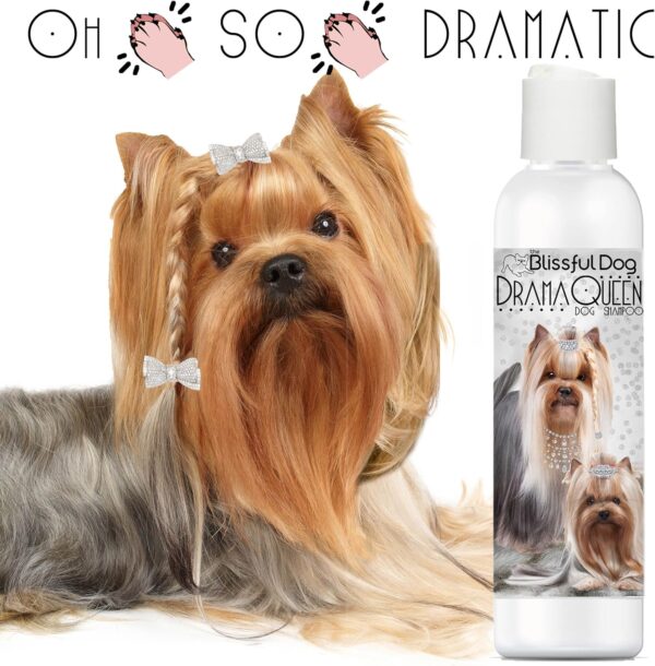 The Blissful Dog Yorkshire Terrier Drama Queen Dog Shampoo, 8 oz. - Image 2