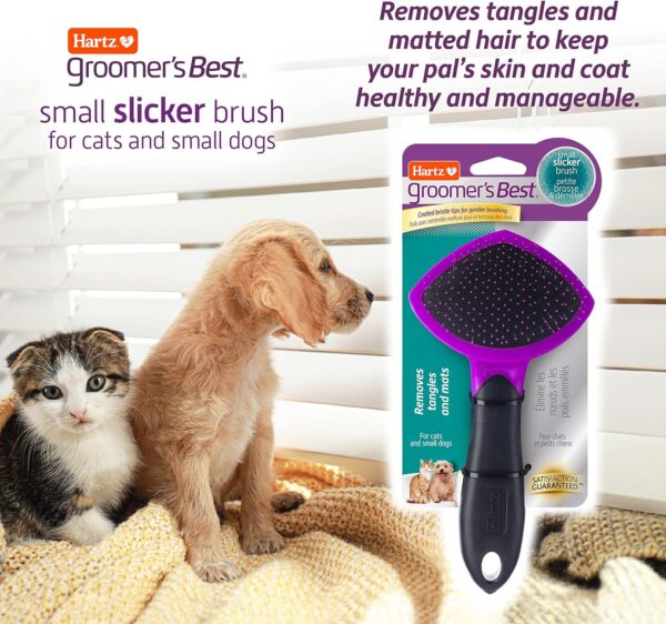 HARTZ, Groomer's Best Small Slicker Brush for Cats and Small Dogs, Black/Violet, 1 Count - Image 3