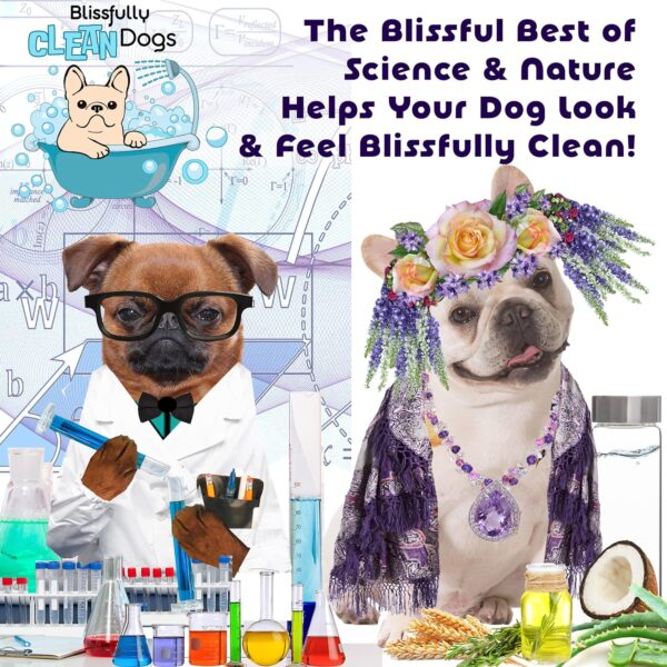 The Blissful Dog Yorkshire Terrier Drama Queen Dog Shampoo, 8 oz. - Image 5