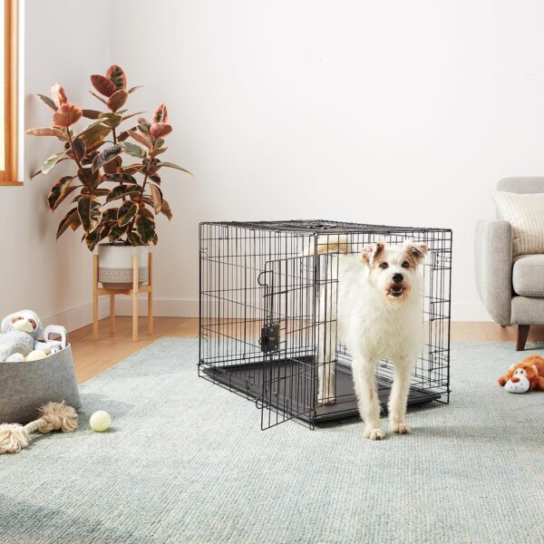 Amazon Basics Large Metal Dog Crate/Cage with Tray, Durable and Foldable Dog Cage with Double Door, Black, Large 91cm (36") - Image 6