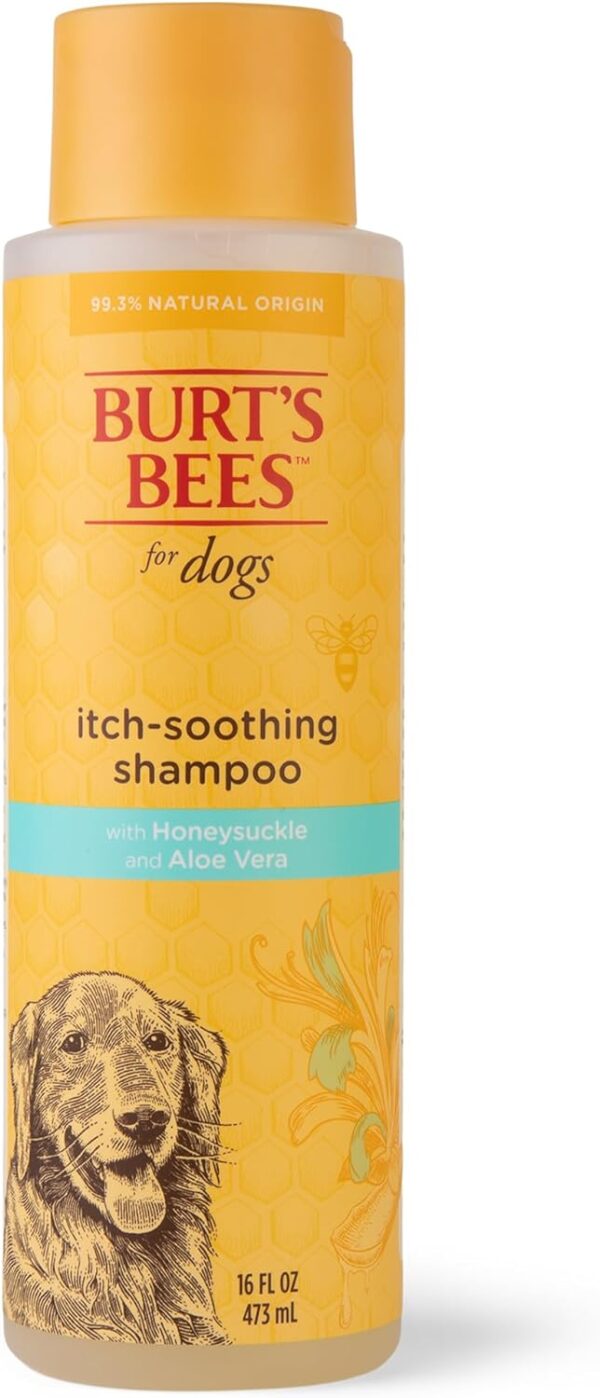 Burts Bees Itch Soothing Shampoo with Honeysuckle, 473ml, white