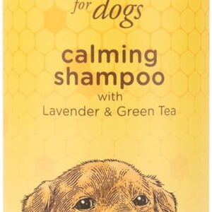 Burt's Bees for Pets Natural Calming Lavender Dog Shampoo with Green Tea, Anti-Itch and Allergy Relief, Includes Oatmeal for Soothing Comfort - Sulfate, Paraben Free, pH Balanced, 16 oz - Made in USA