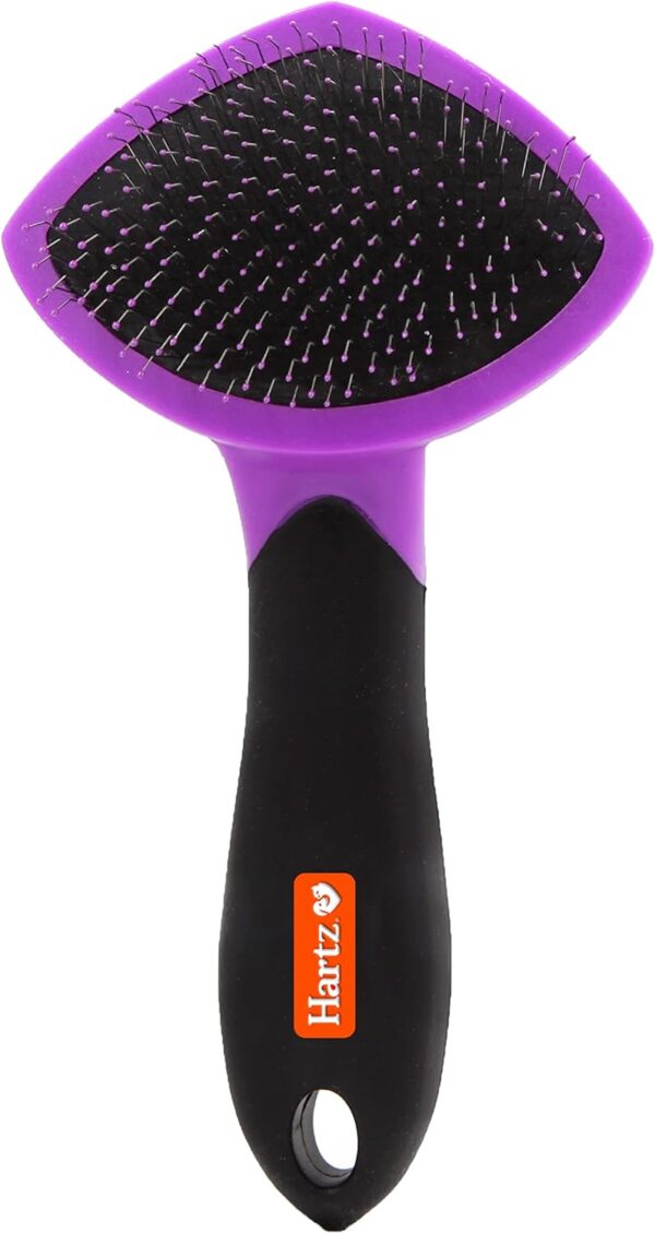 HARTZ, Groomer's Best Small Slicker Brush for Cats and Small Dogs, Black/Violet, 1 Count